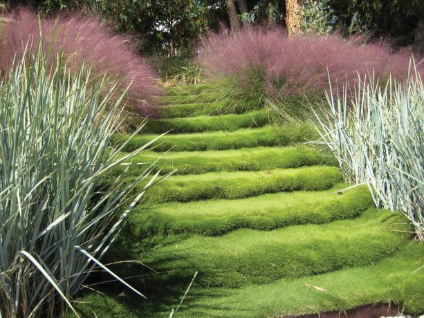 grass steps as the central element in a layered slope landscape