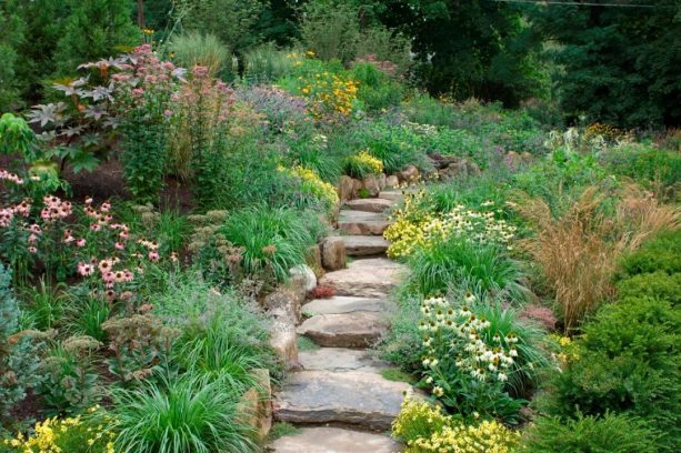 peaceful walking garden with landscape steps on a slope