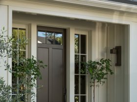 narrow brown front door in a transitional entryway