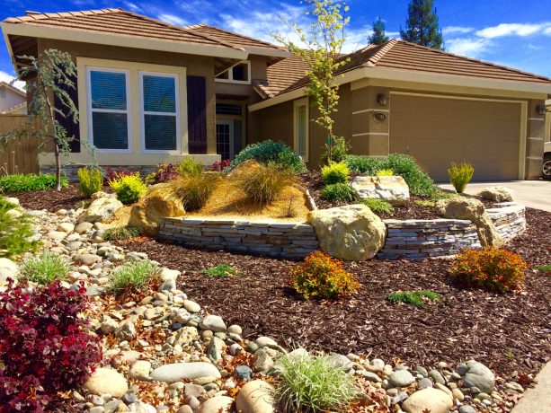 drought tolerant grassless front yard landscaping with mulch ground cover