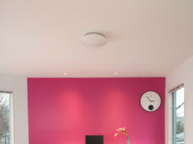 pink painted an accent wall in a modern home office