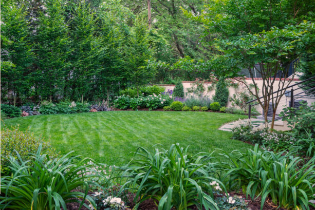 traditional landscaping in a formal setting with plants on the perimeter