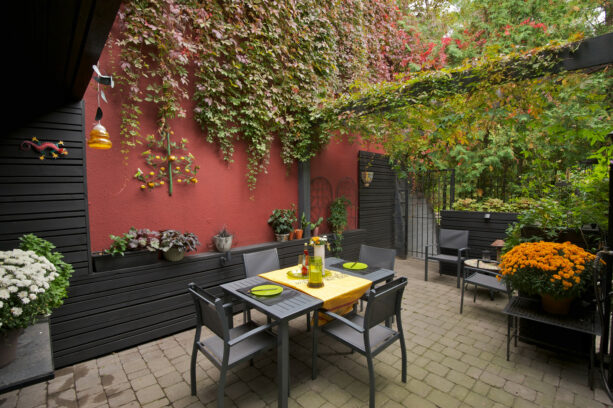painted stucco patio wall with vines