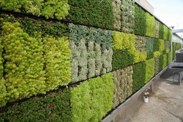 the idea of using a vertical garden as a patio wall